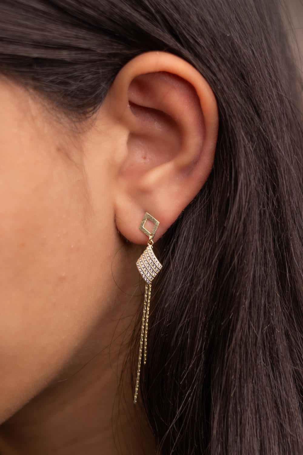 Zircon Tassel Earrings